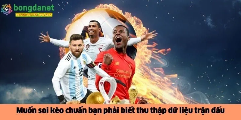 Muốn soi kèo chuẩn