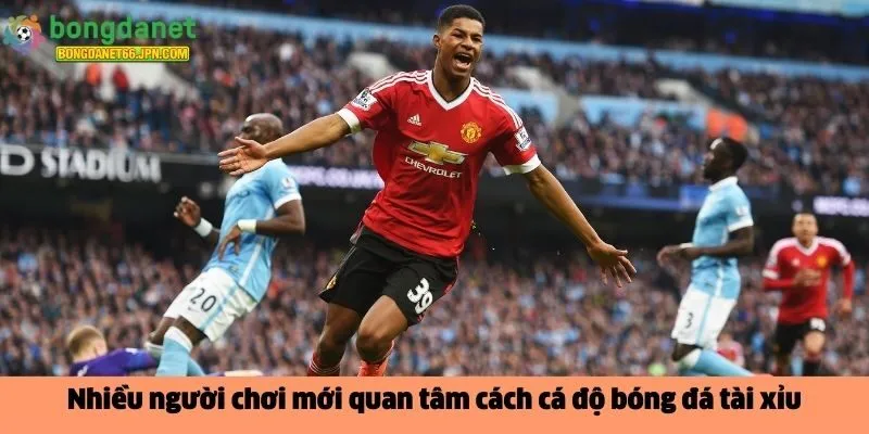  cách cá độ bóng đá tài xỉu